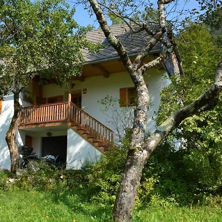 Rustic Petra Lejlighed *