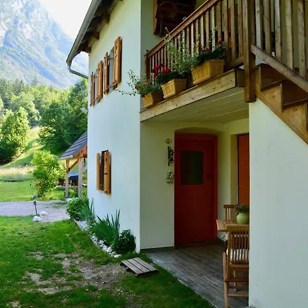 Rustic Petra * Soca