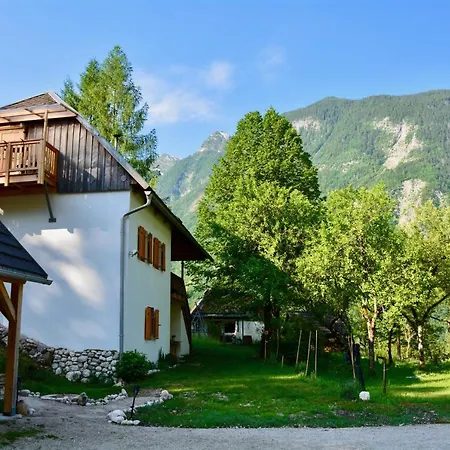 Rustic Petra Apartment *