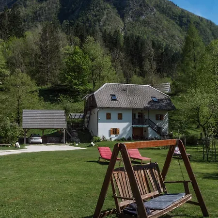 Rustic Petra * Soca
