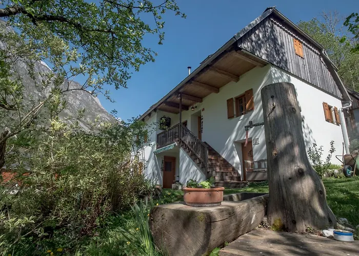 Appartement Rustic Petra Soča